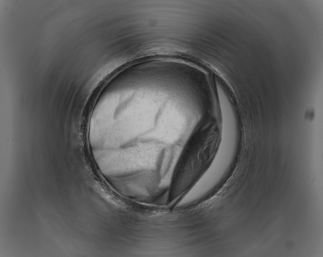 X0000088901026200707061449