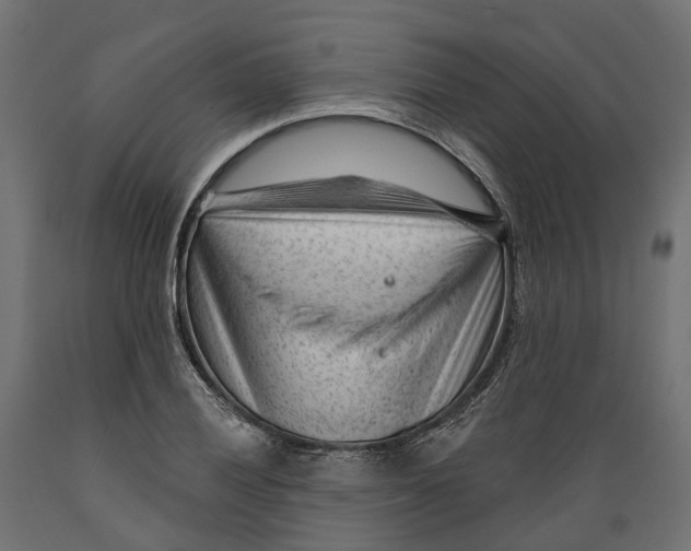 X0000088901028200707061450