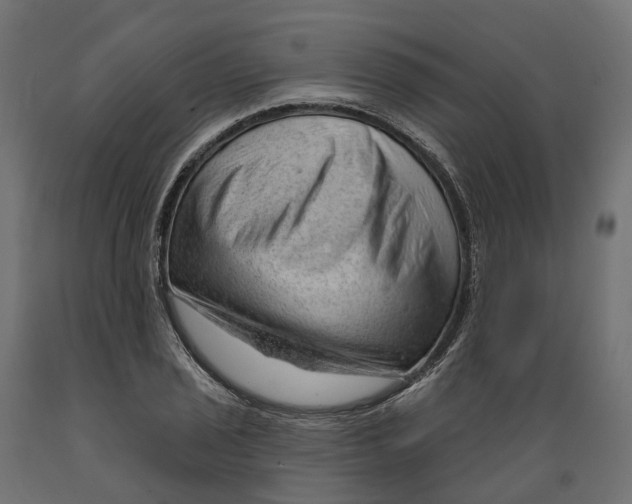 X0000088901029200707061450