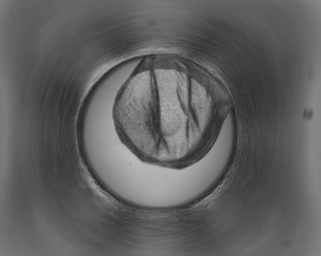 X0000088901030200707061450