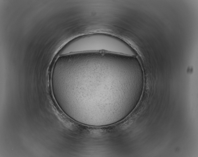 X0000088901031200707061450