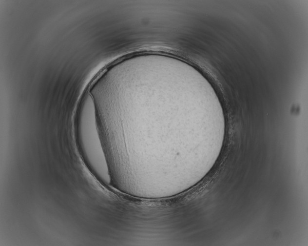 X0000088901032200707061450