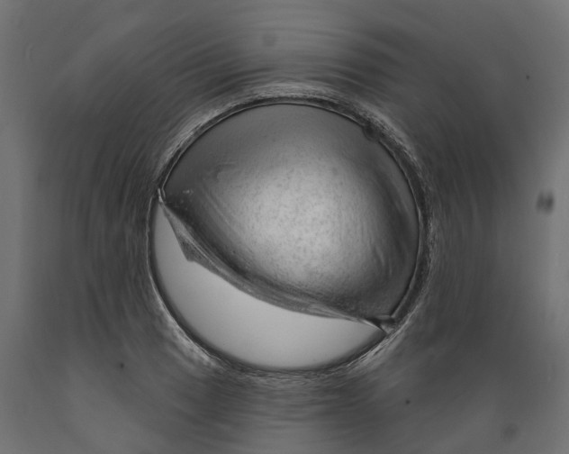 X0000088901033200707061450