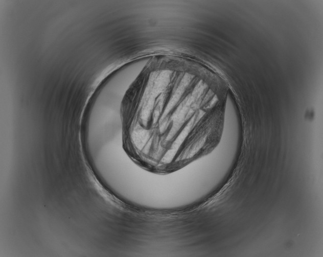 X0000088901034200707061450