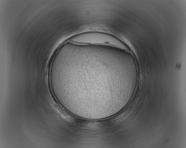 X0000088901035200707061450