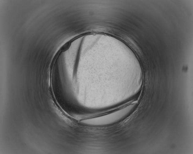 X0000088901036200707061450