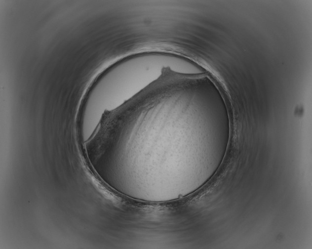 X0000088901037200707061450