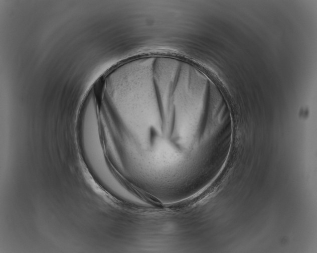 X0000088901038200707061450