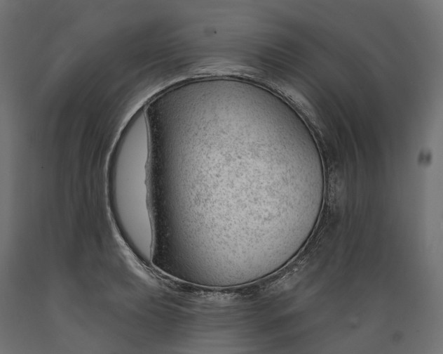 X0000088901039200707061450