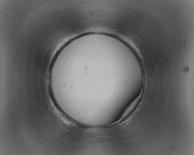 X0000088901040200707061450