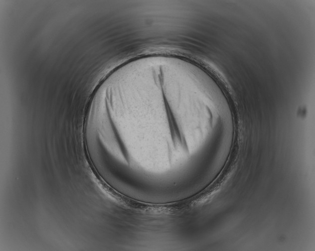 X0000088901041200707061450