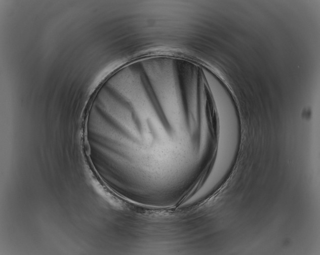 X0000088901042200707061450