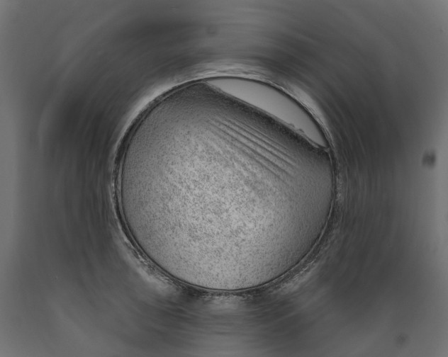 X0000088901043200707061450