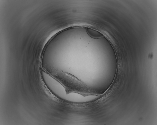 X0000088901044200707061450