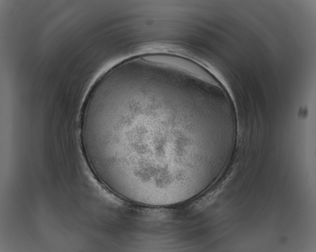 X0000088901045200707061450