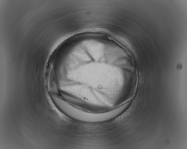 X0000088901046200707061450