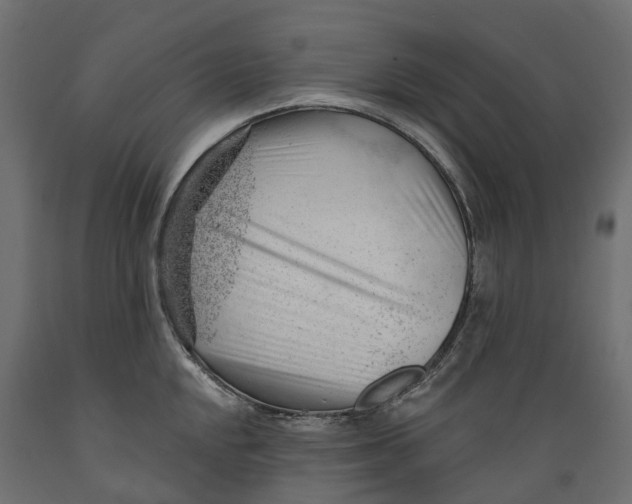 X0000088901048200707061450