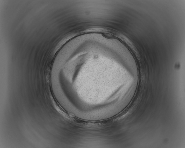 X0000088901049200707061450