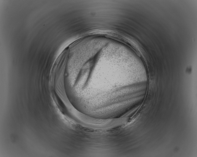 X0000088901050200707061450