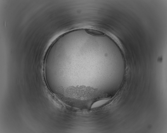 X0000088901051200707061450