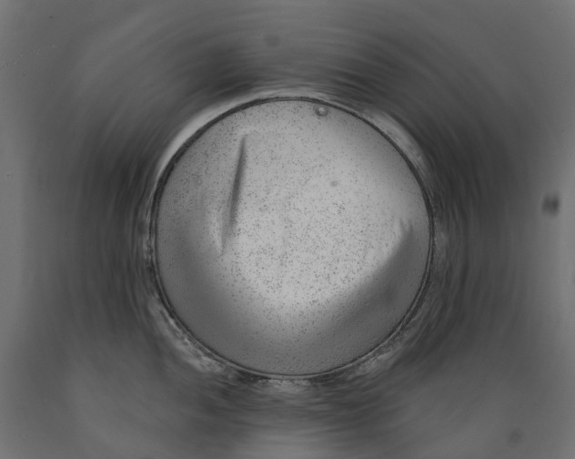 X0000088901052200707061450