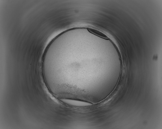 X0000088901053200707061450