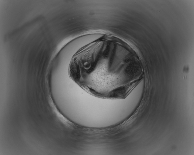 X0000088901054200707061450