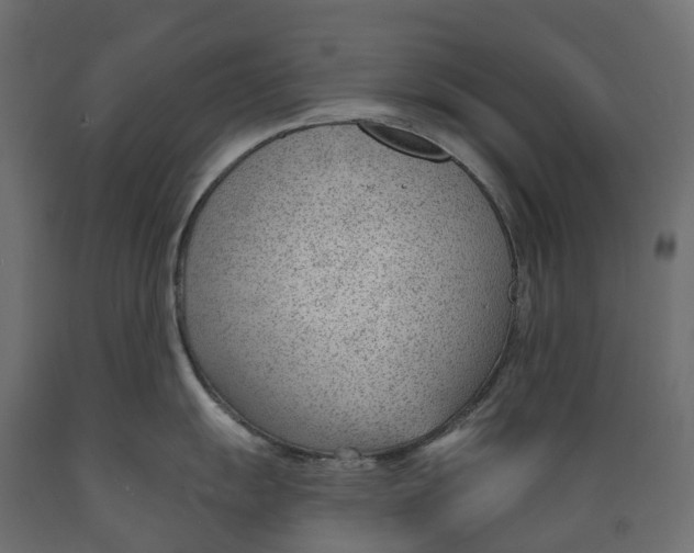 X0000088901055200707061450