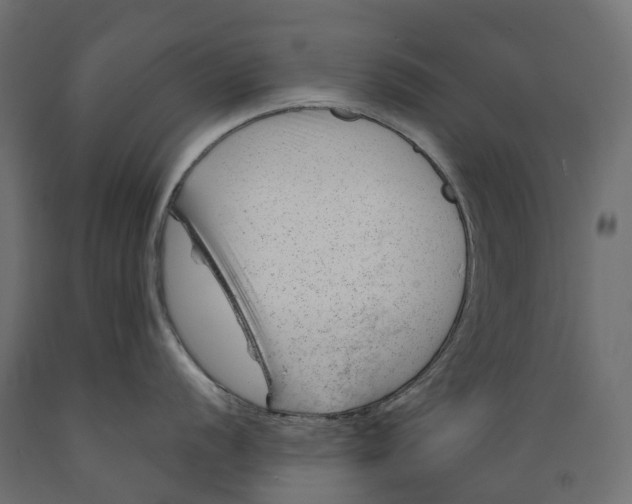 X0000088901056200707061450