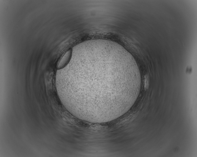 X0000088901059200707061449