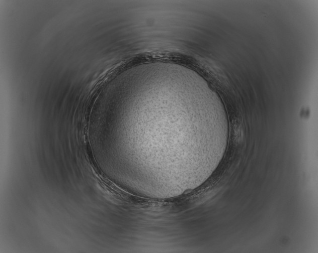 X0000088901060200707061449