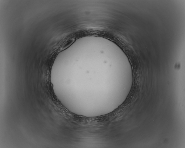 X0000088901061200707061449