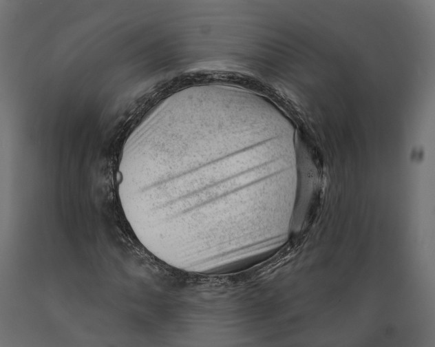 X0000088901062200707061449