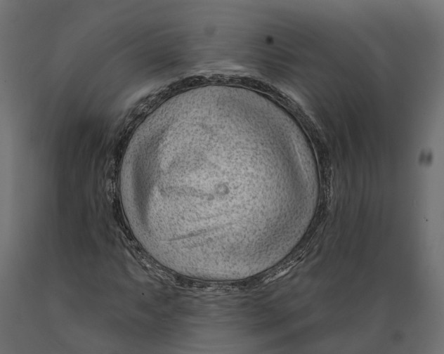 X0000088901063200707061449