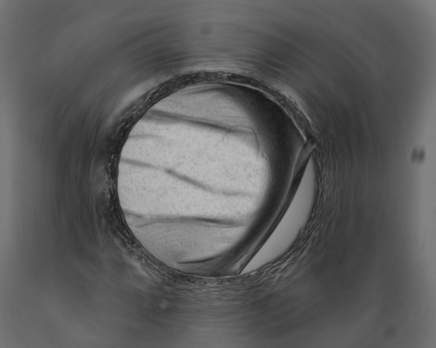 X0000088901064200707061449