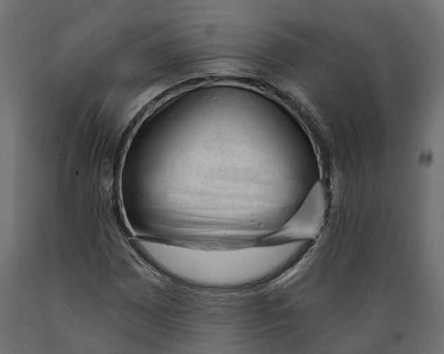 X0000088901065200707061449