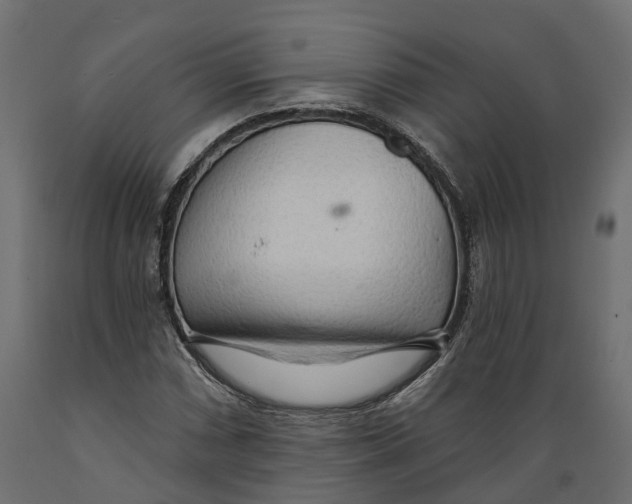 X0000088901066200707061449