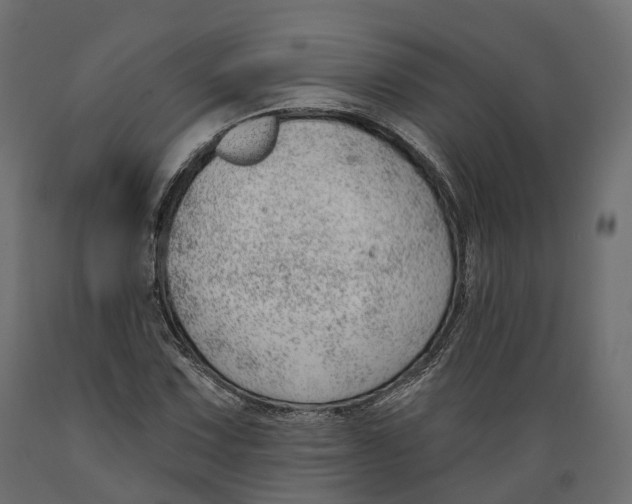 X0000088901067200707061449