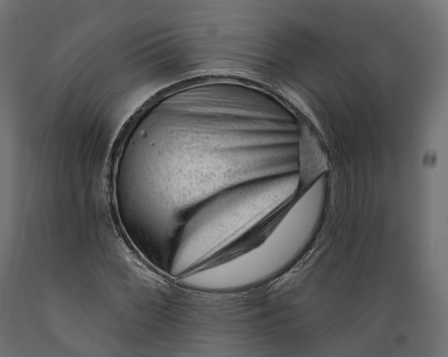 X0000088901068200707061449