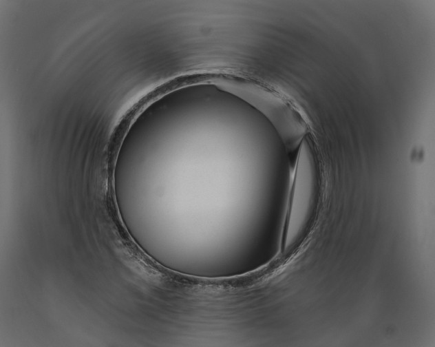 X0000088901069200707061449