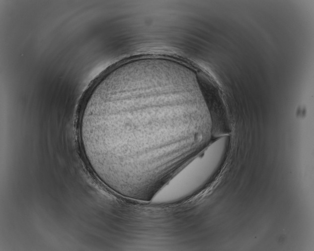 X0000088901071200707061449