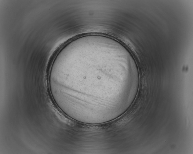 X0000088901072200707061449