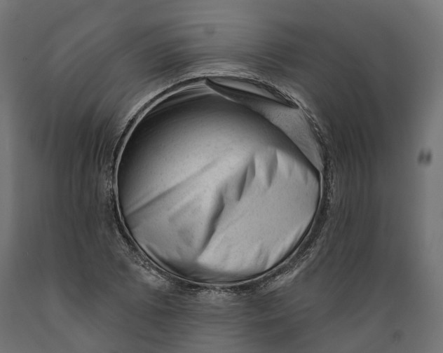 X0000088901073200707061449