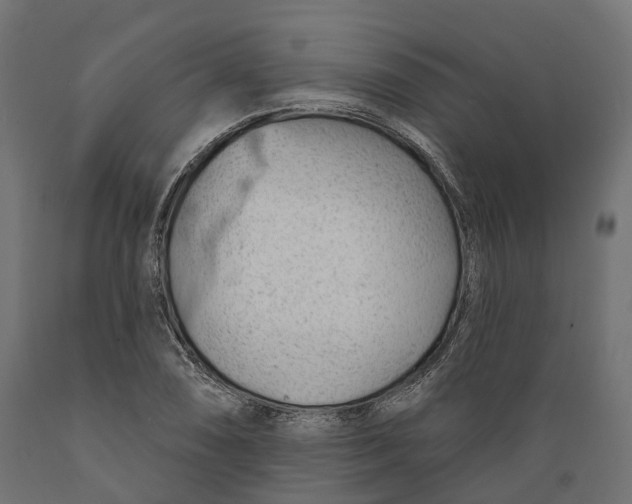 X0000088901074200707061449