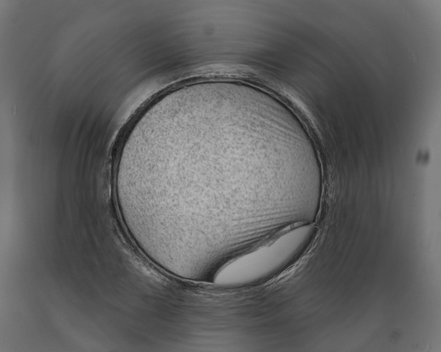 X0000088901075200707061449