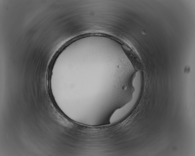 X0000088901076200707061449