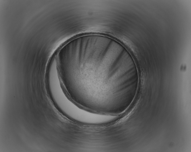 X0000088901077200707061449