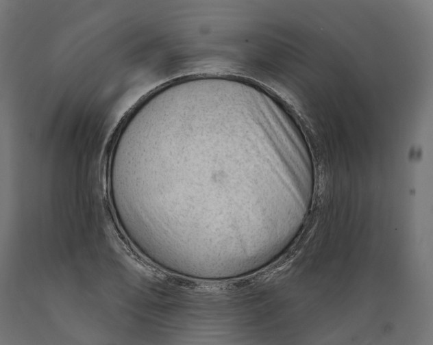 X0000088901078200707061449