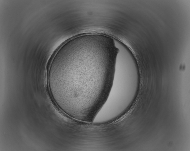 X0000088901079200707061449