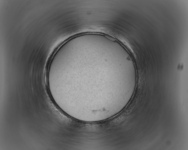 X0000088901080200707061449